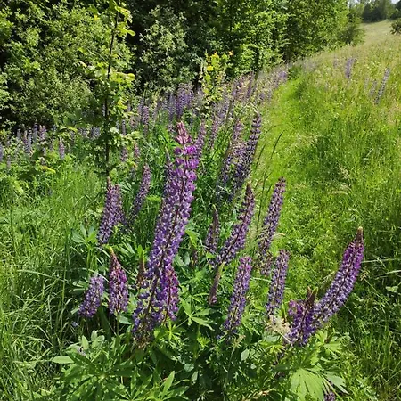 Srokowski Dwor 1 - Dom Ochmistrza Дом отдыха