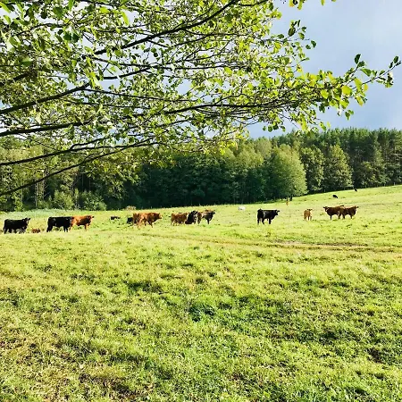 Srokowski Dwor 1 - Dom Ochmistrza 펜션 Srokowo