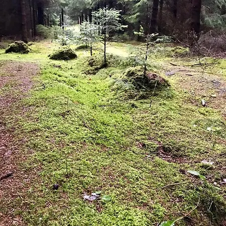 Srokowski Dwor 1 - Dom Ochmistrza 펜션 *