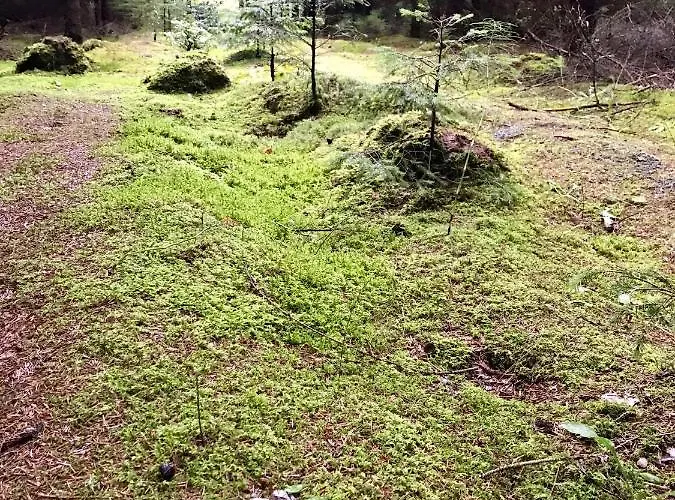 Srokowski Dwor 1 - Dom Ochmistrza Prázdninový dům *